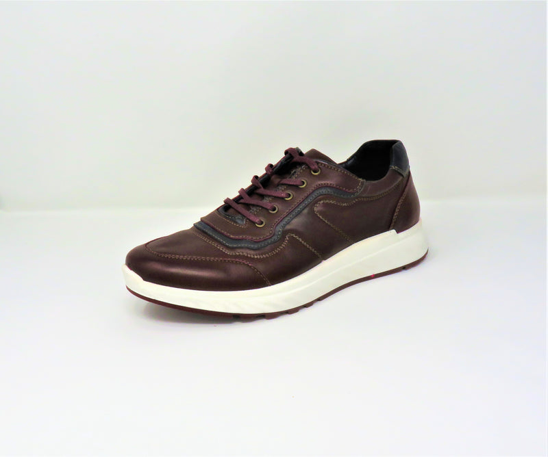 Softmode Scott Casual Leather  Laced Burgamdy - Noel Fahy Footwear