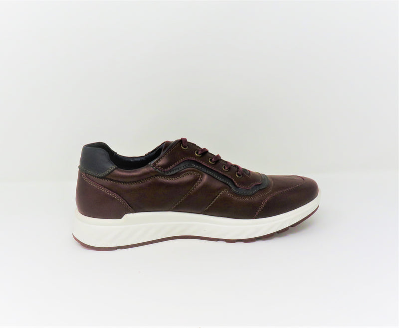 Softmode Scott Casual Leather  Laced Burgamdy - Noel Fahy Footwear